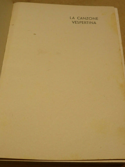 23982058