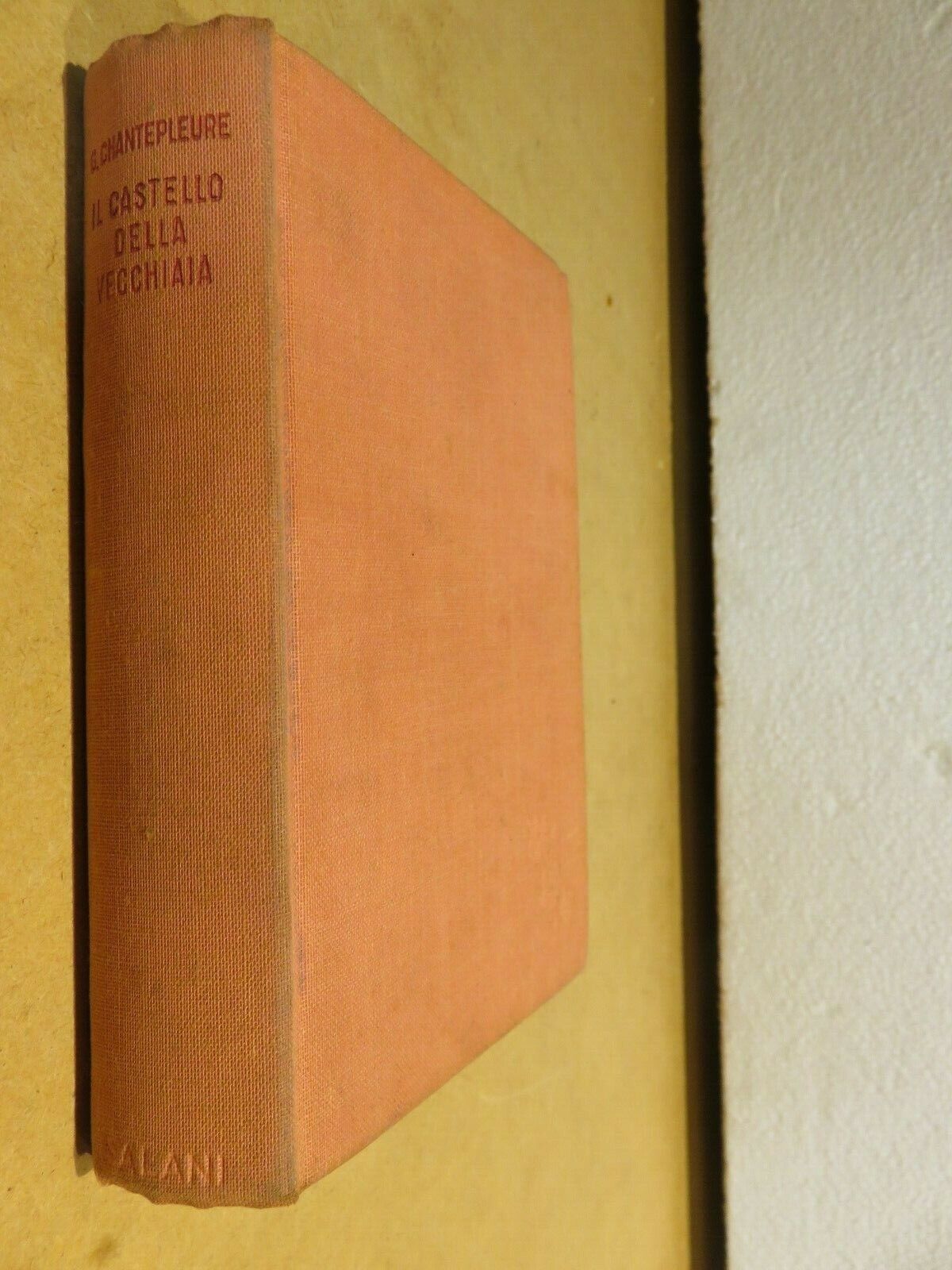 23982071