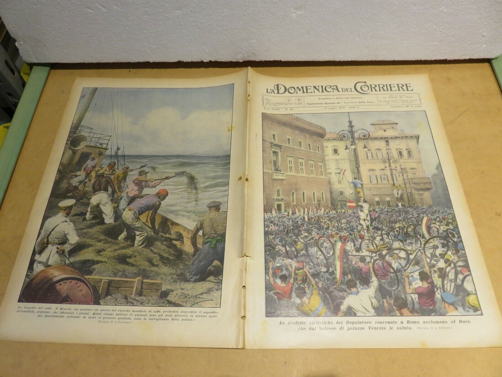 23992677