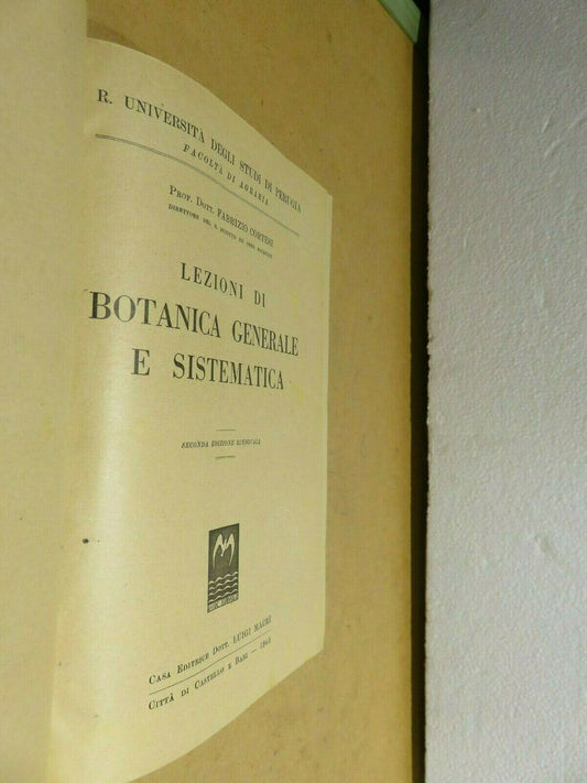 24061853