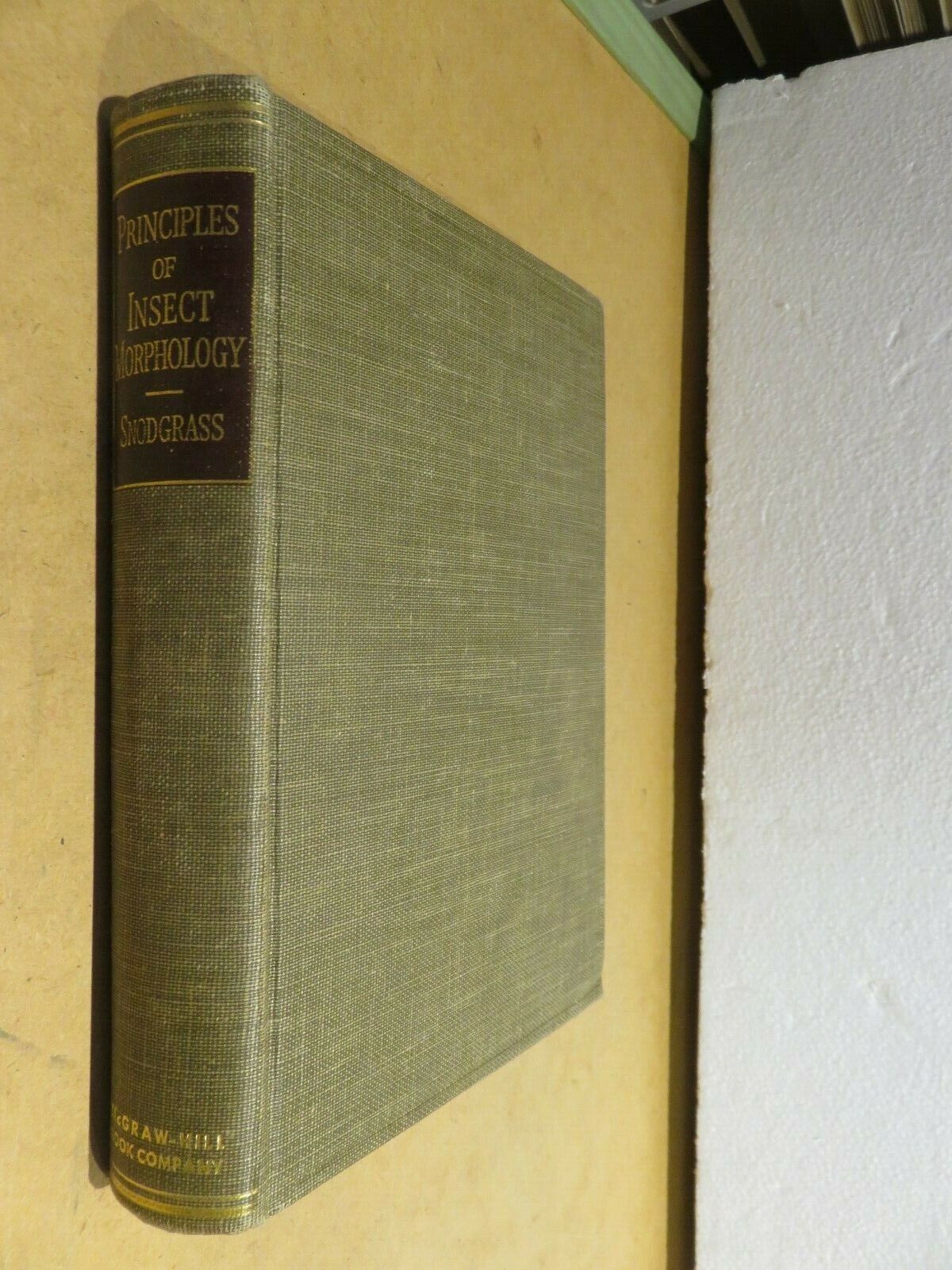 24061939