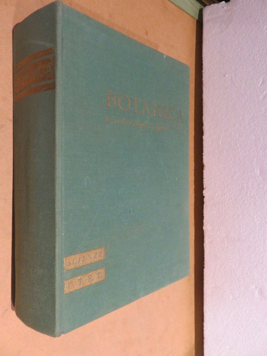 24061968