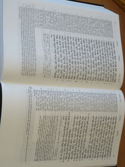 23981607