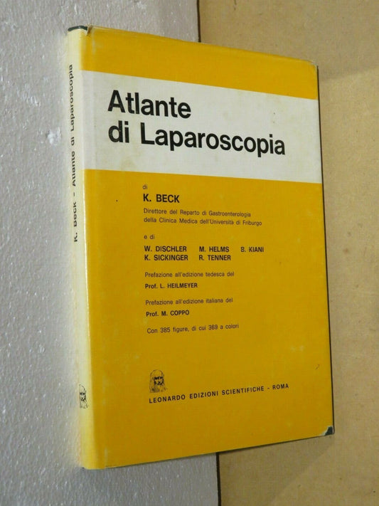 23982098