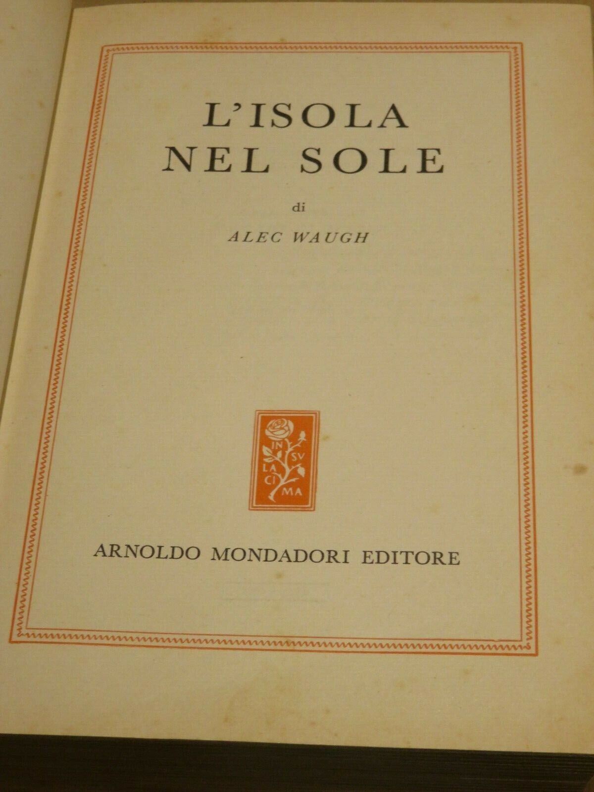 23982906