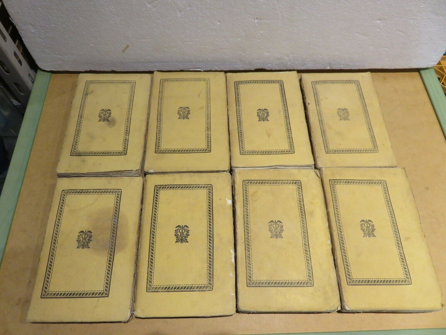 23987679