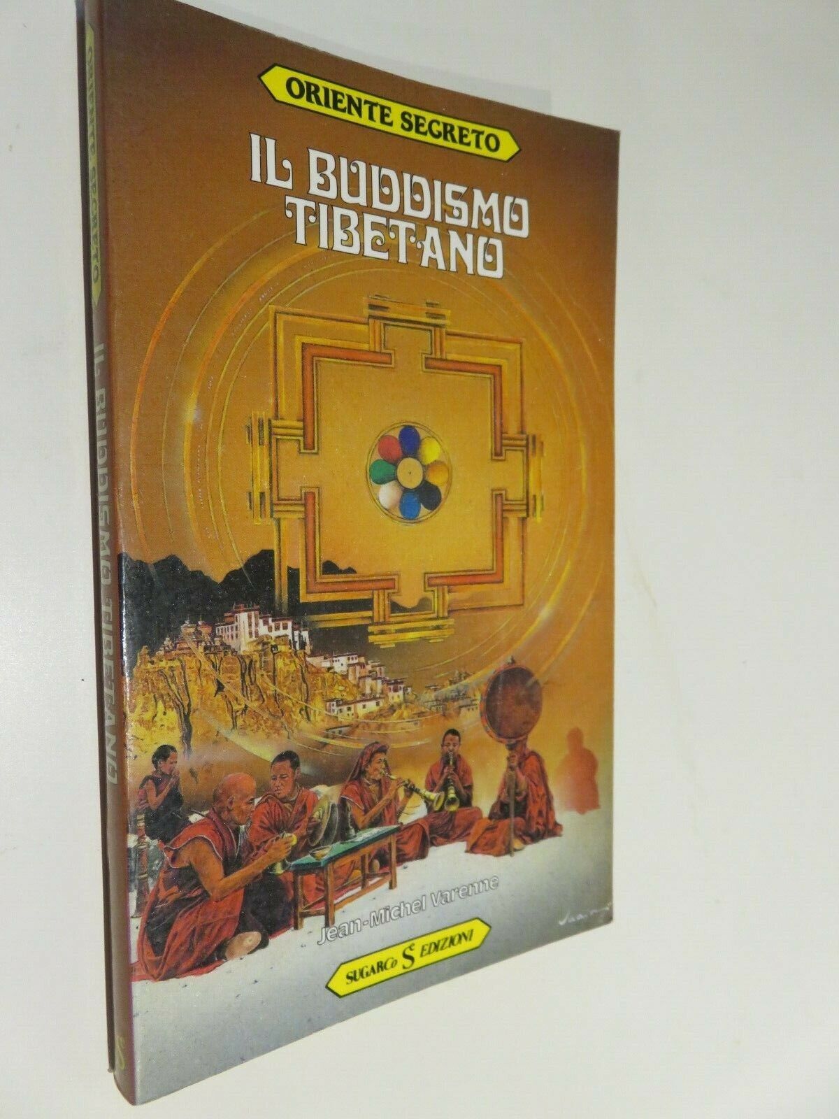 24056223