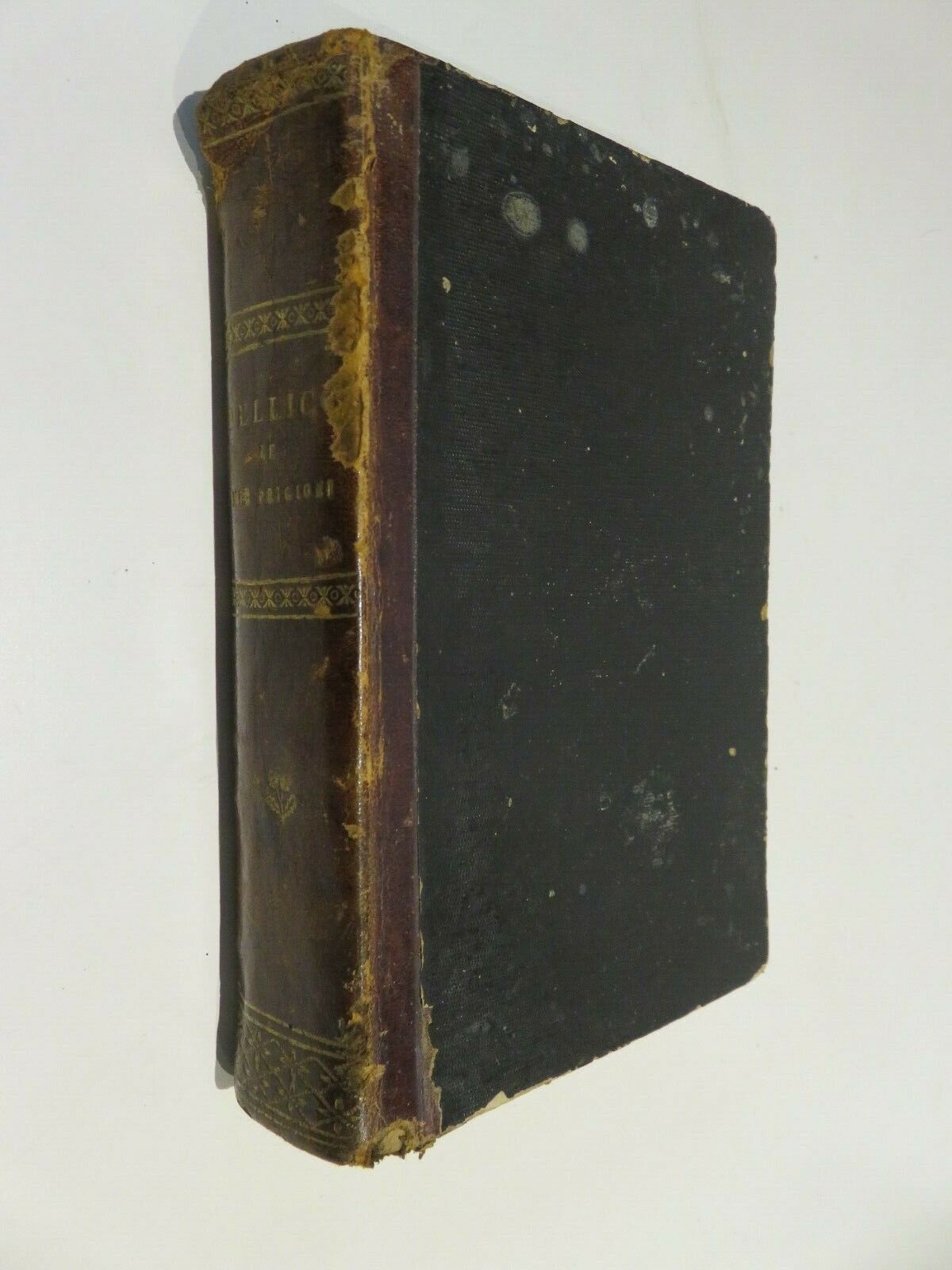 24056651