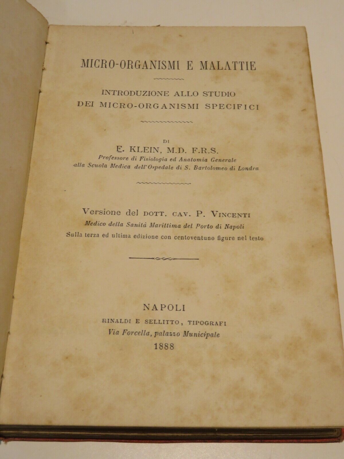 24059549