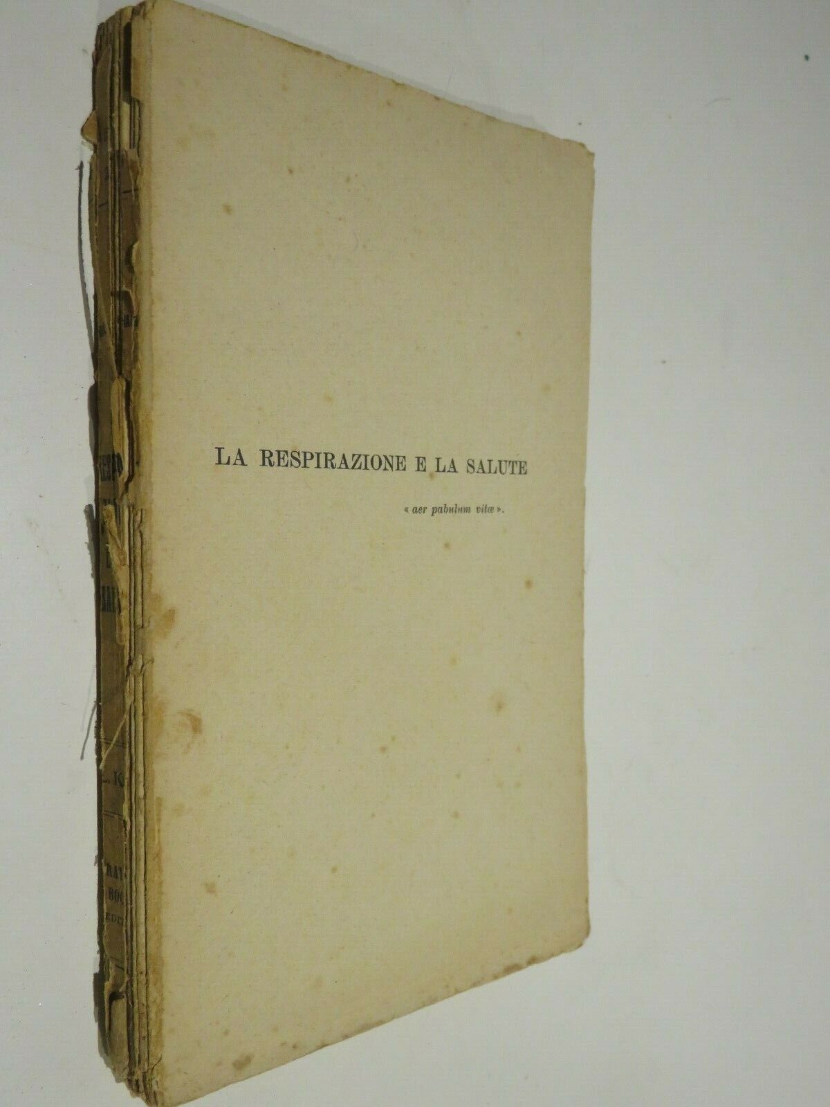 24061263
