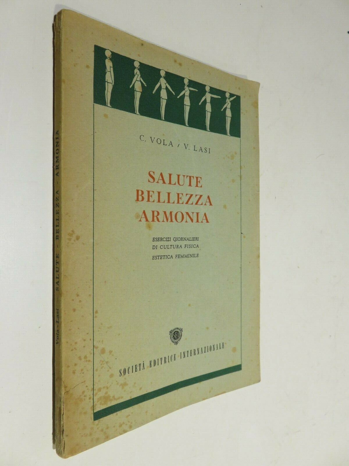 24045565