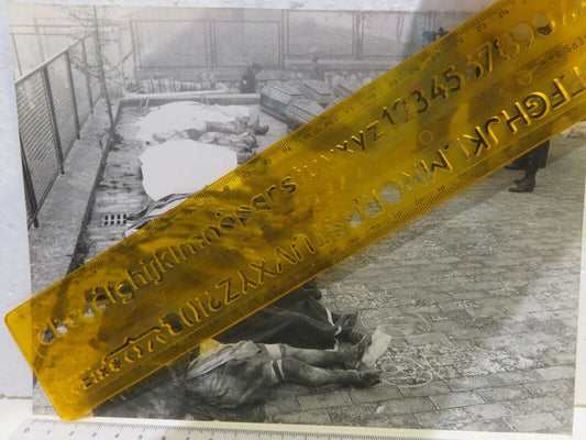 24003008