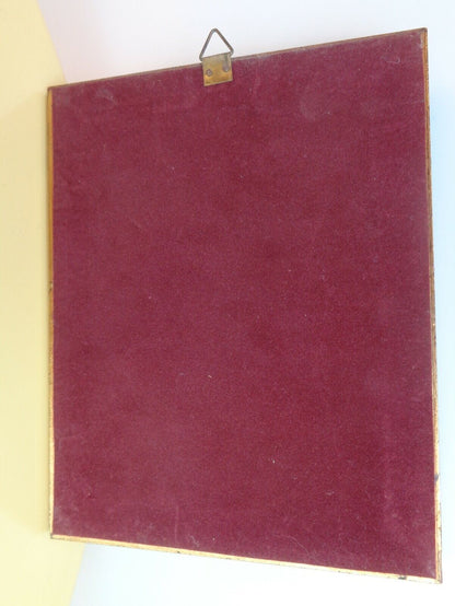 24008798