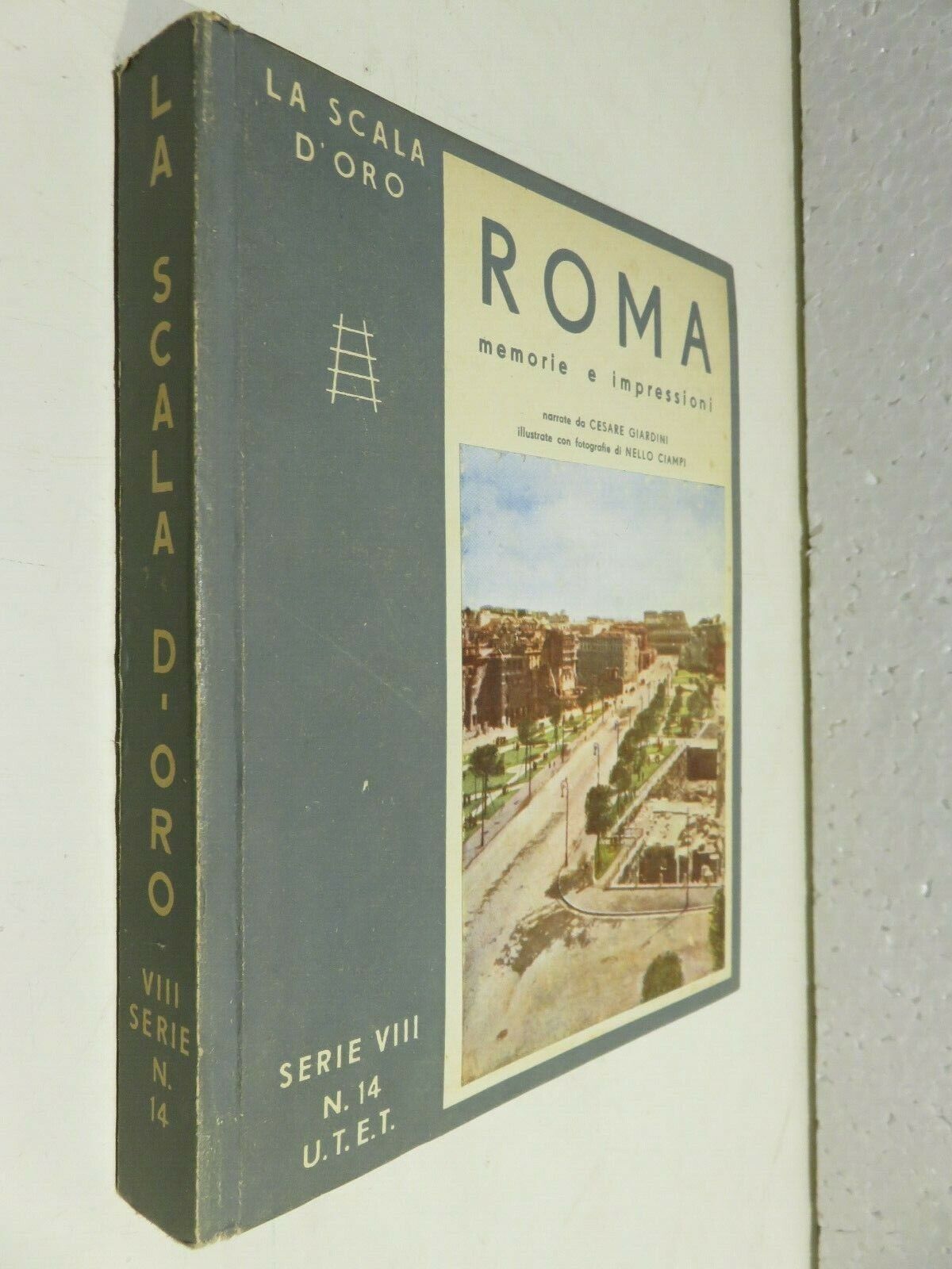 24045095