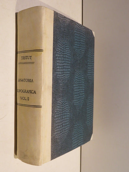 23991079