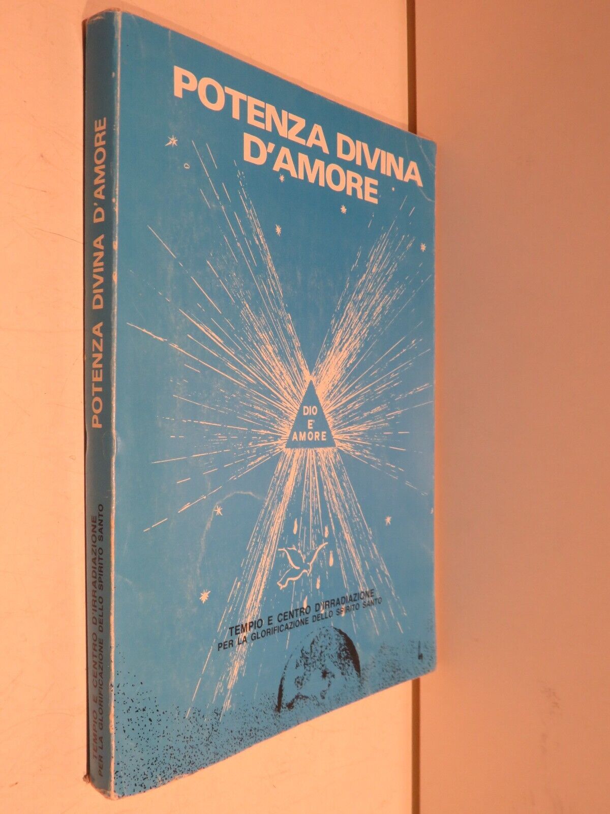 24013101