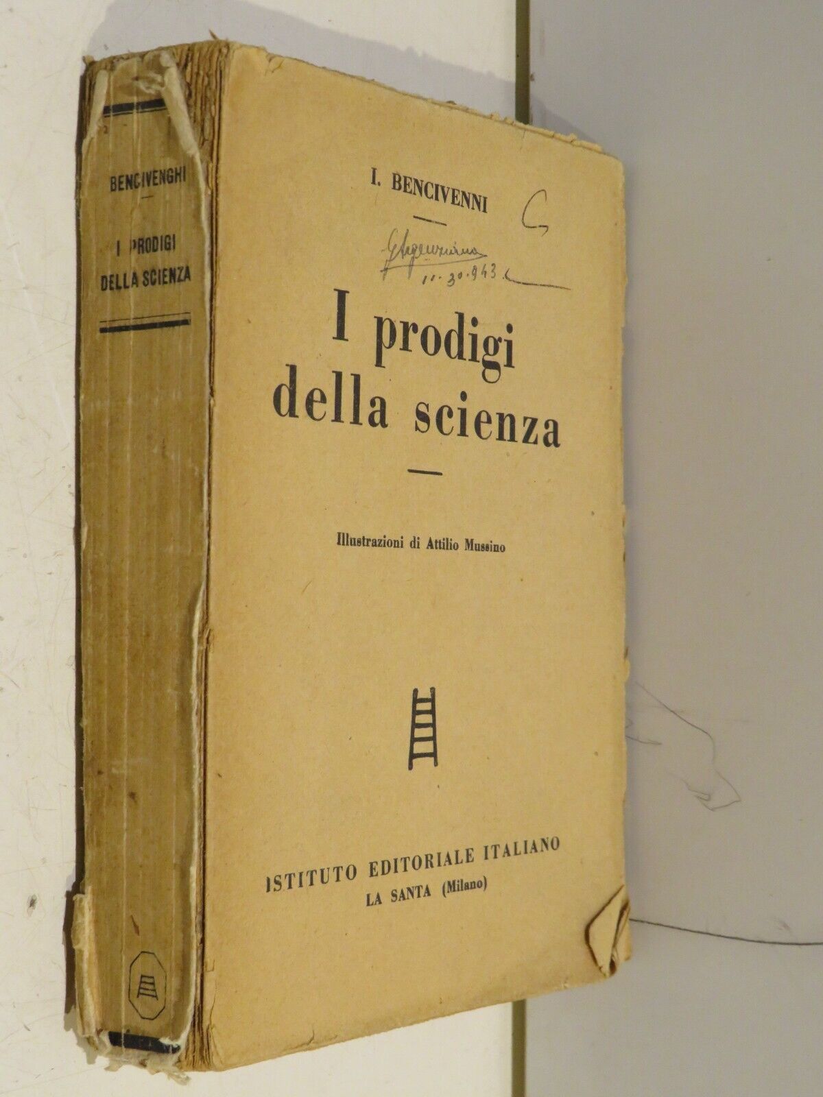 23962082
