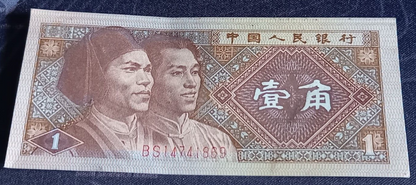 23969005