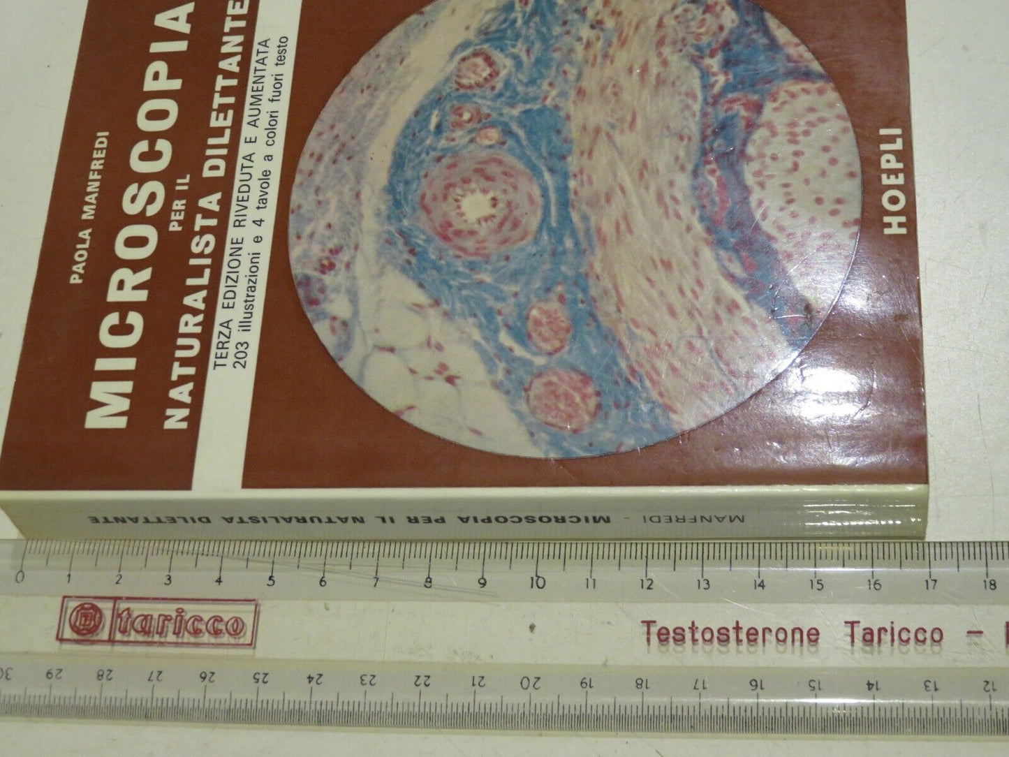 23961974