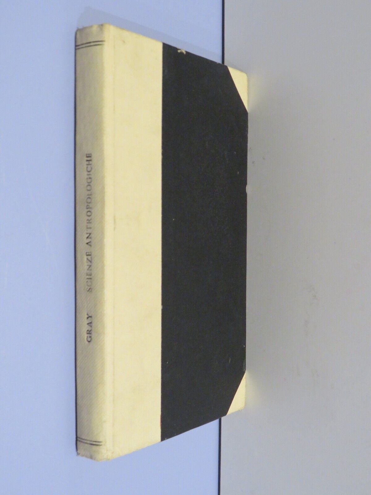 23953045