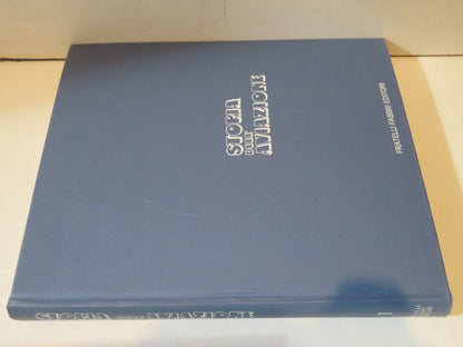 23950787