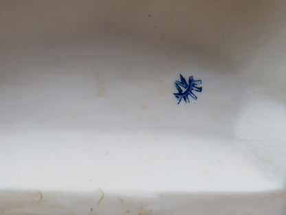 26192504