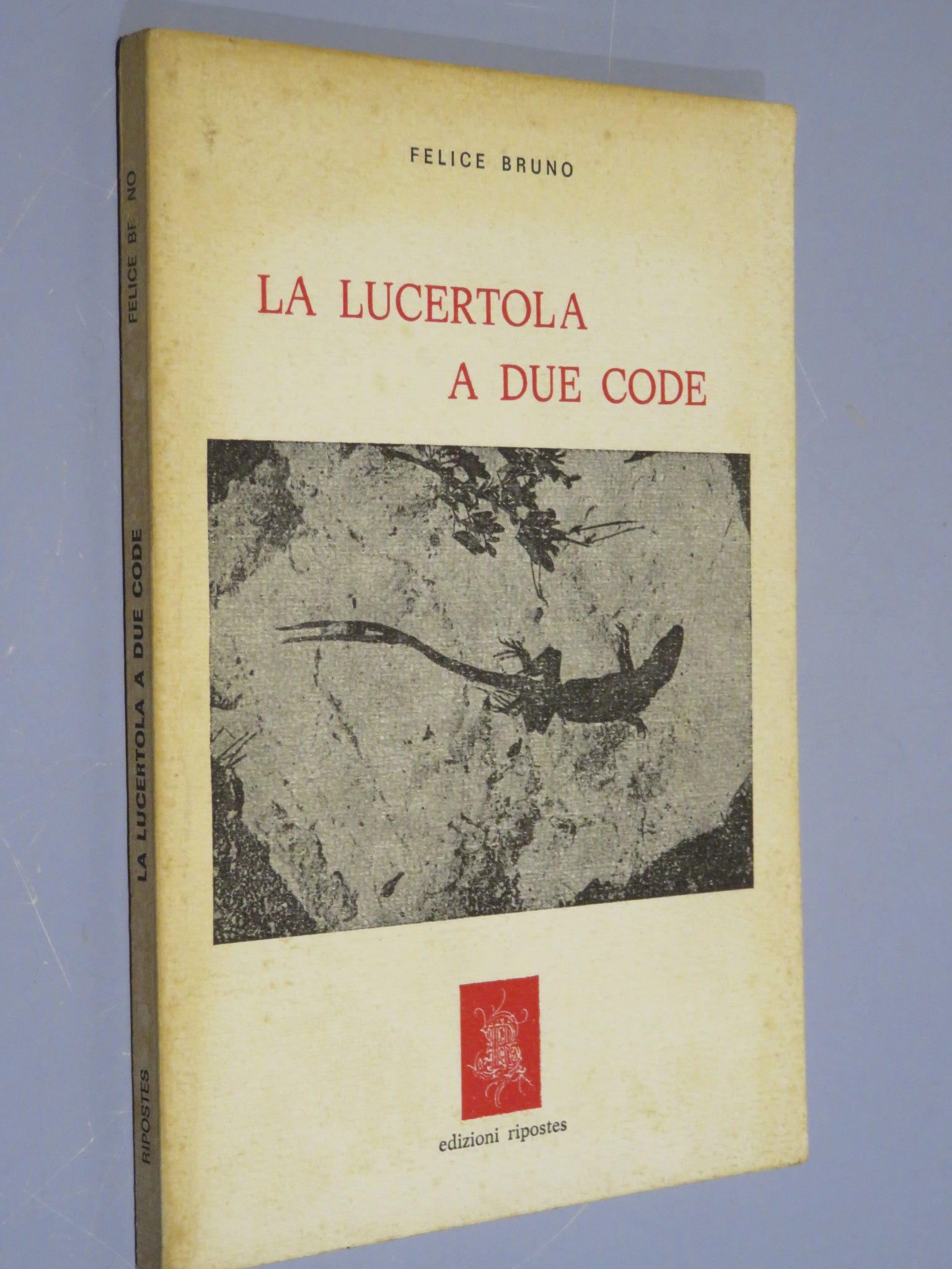 26192761