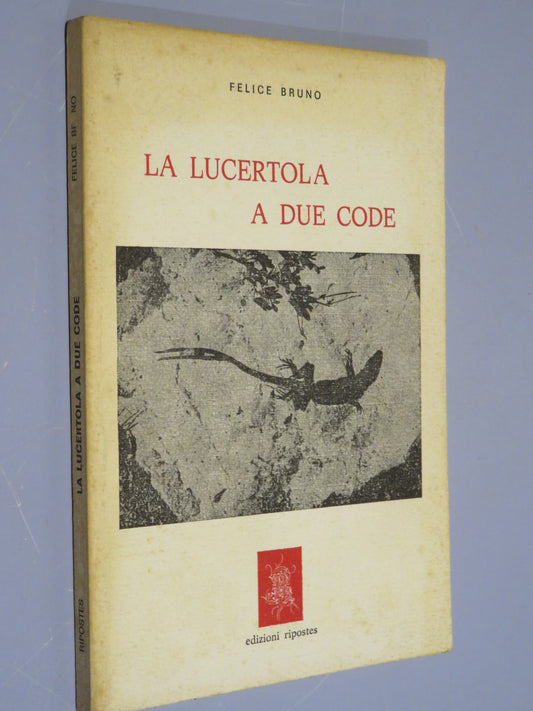 26192761