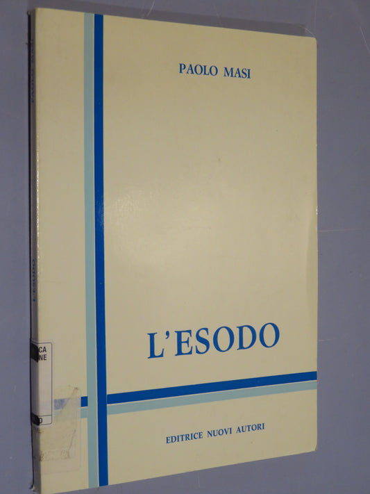 26196802