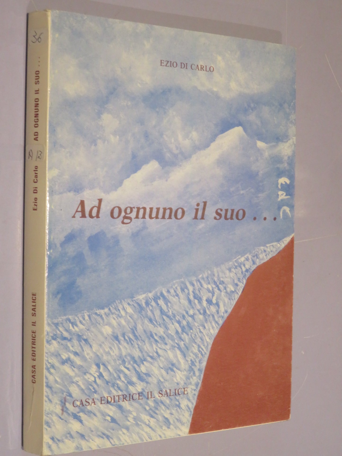 26199810