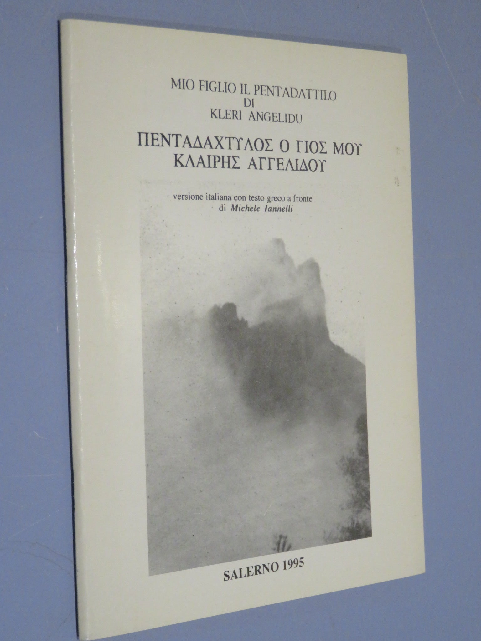 26208043