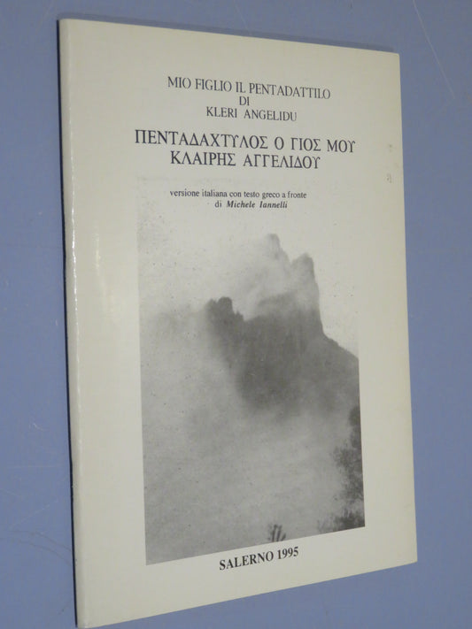 26208043