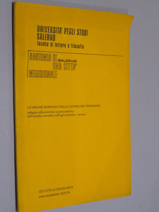 26212051