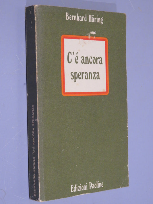 26042081