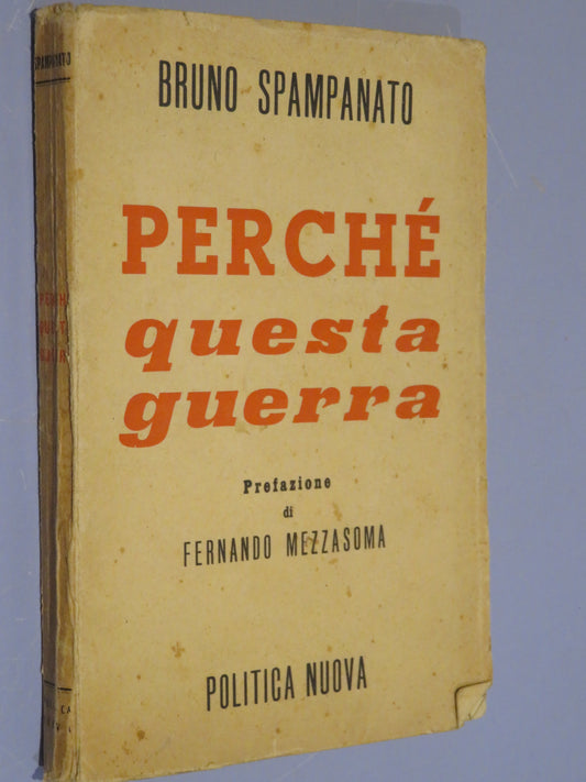 26008808