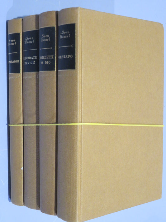 25704950