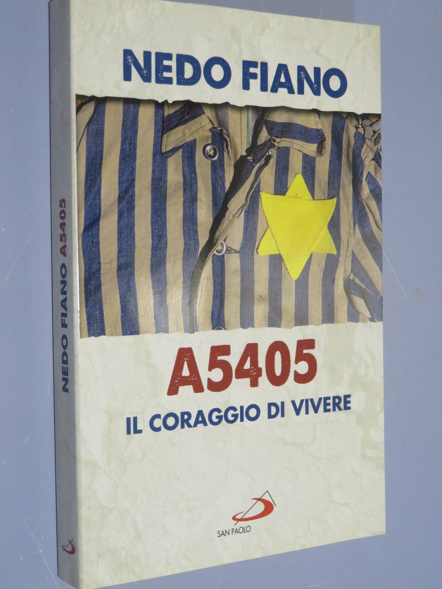 25705088