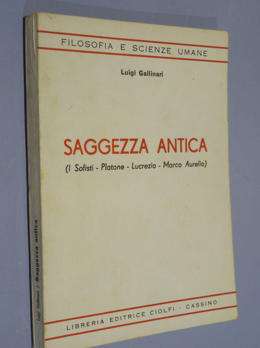 27094534