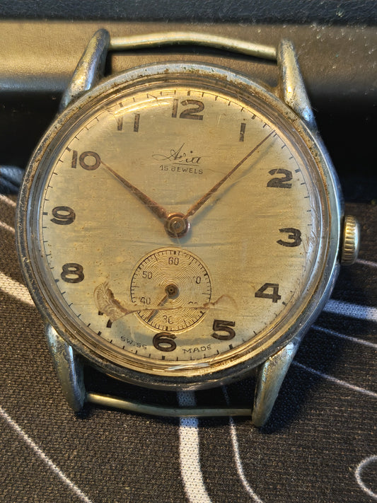 31137096