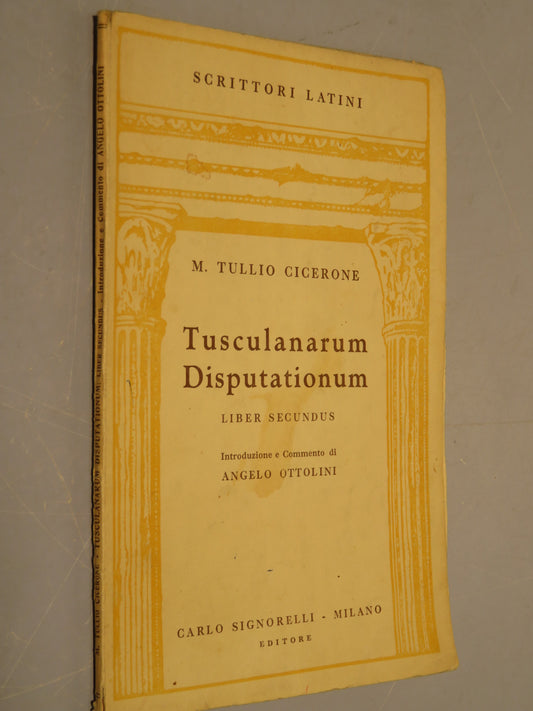 44041384
