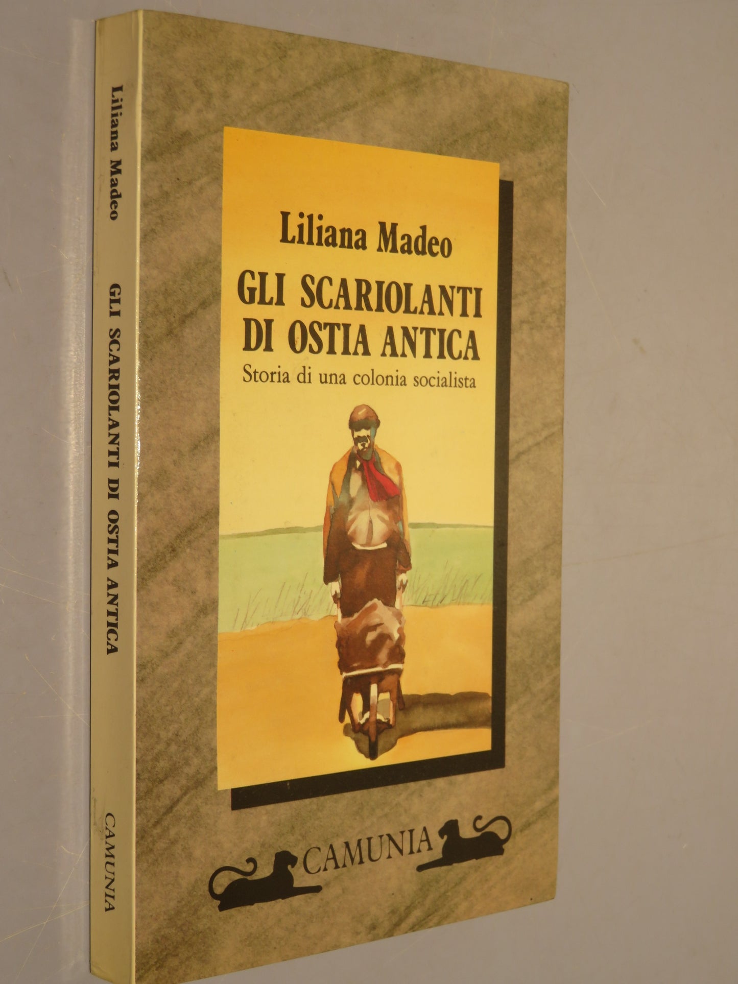 44041493