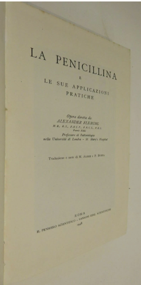 44115393