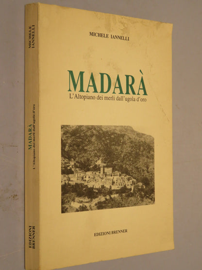 44434282