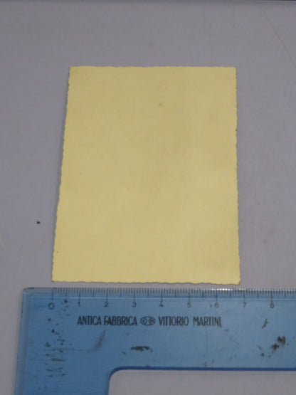 44828041