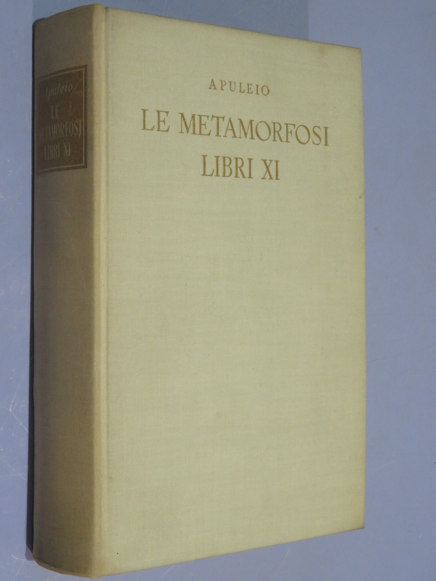46021614