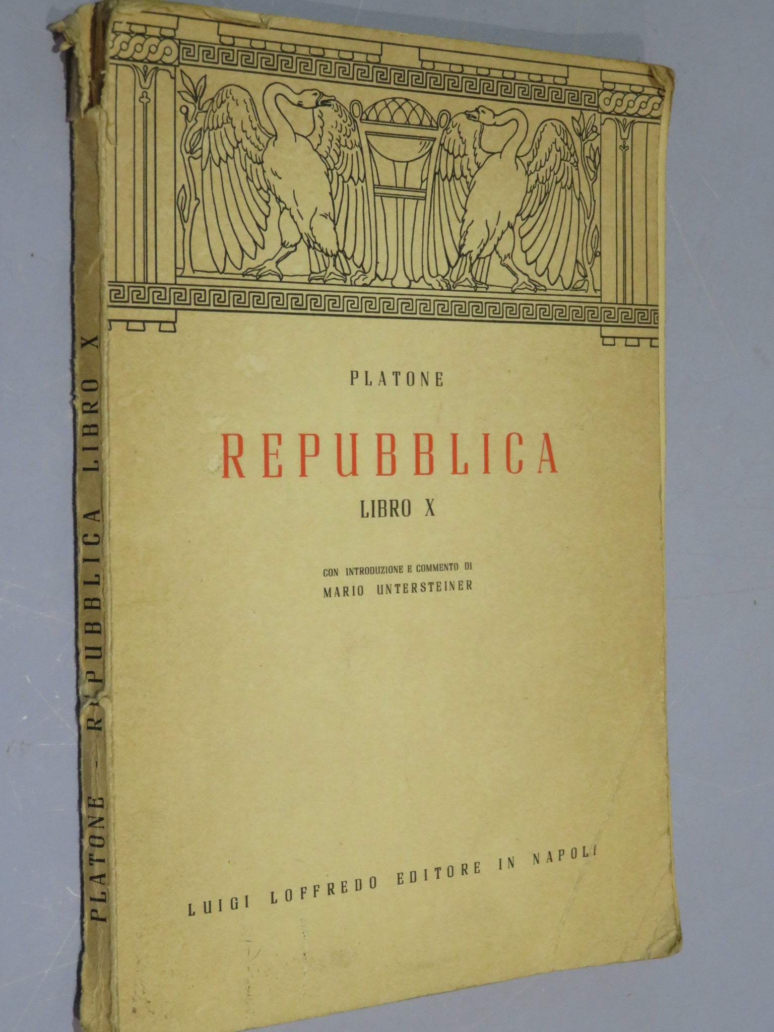 46021604
