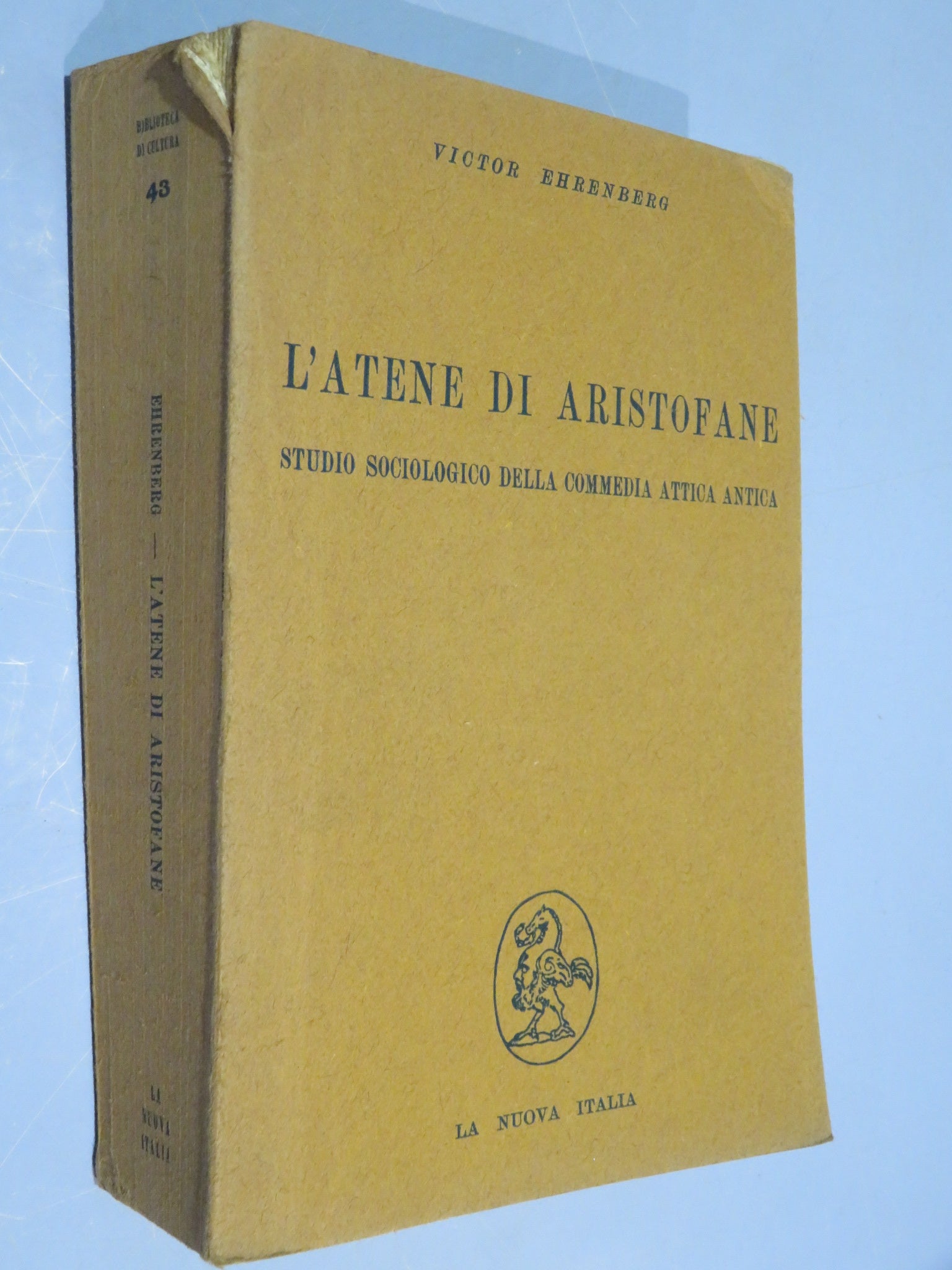 46022417