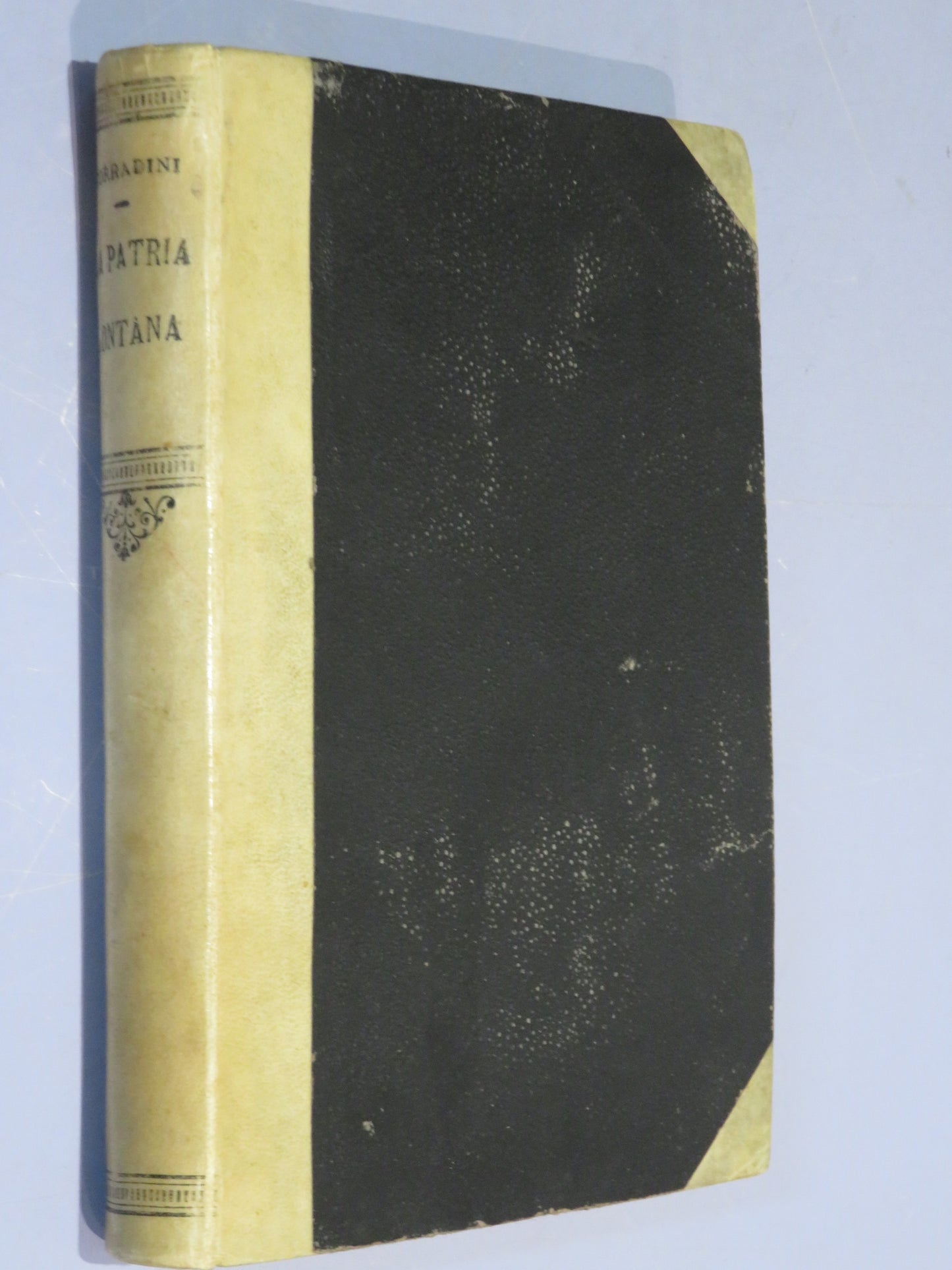 46022474