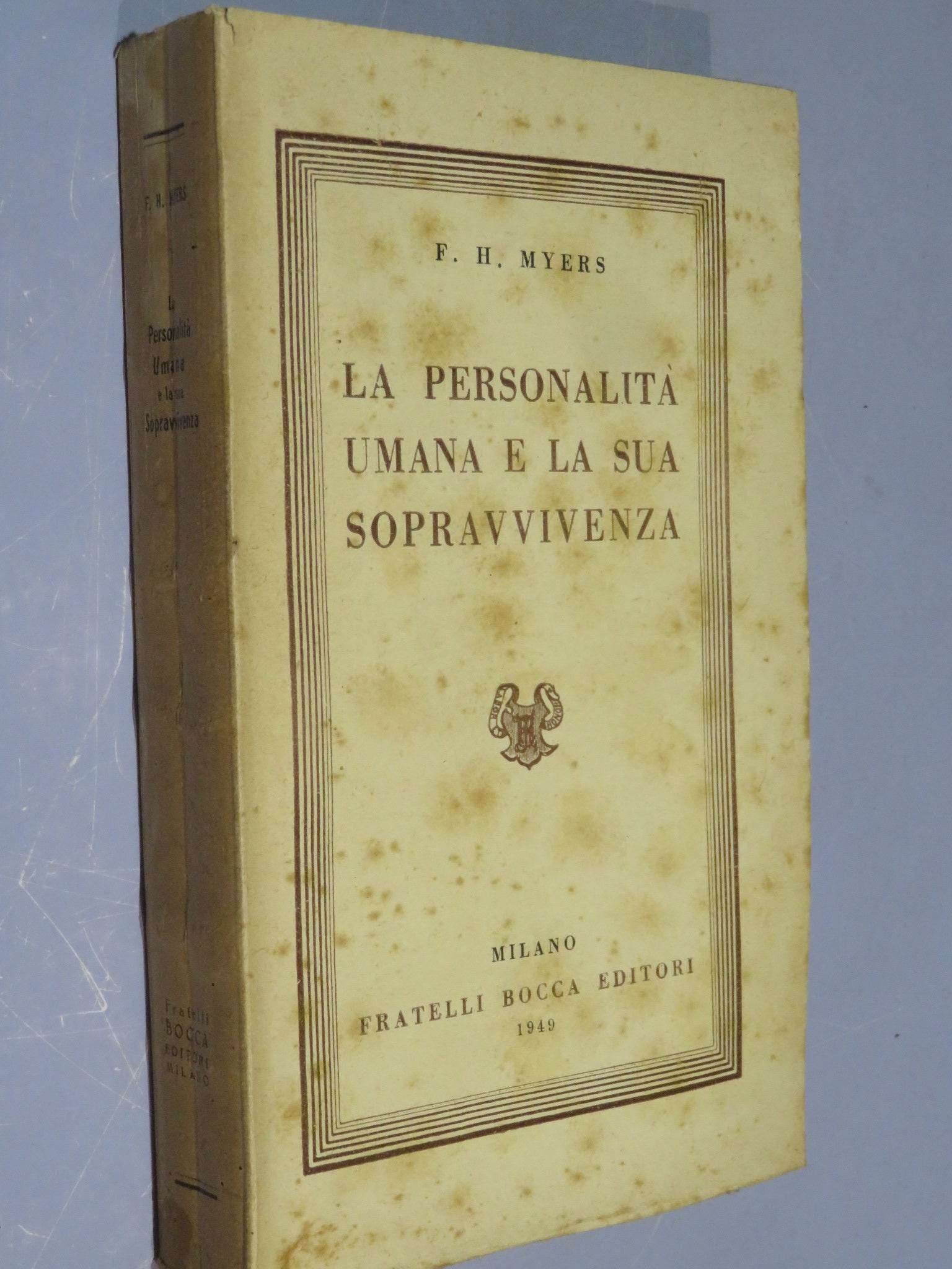 47174419
