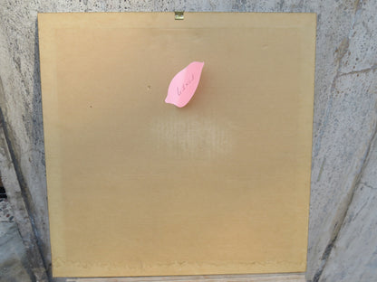 47507387